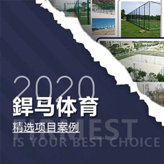 【回顾】2020年体育全年精选项目案例！